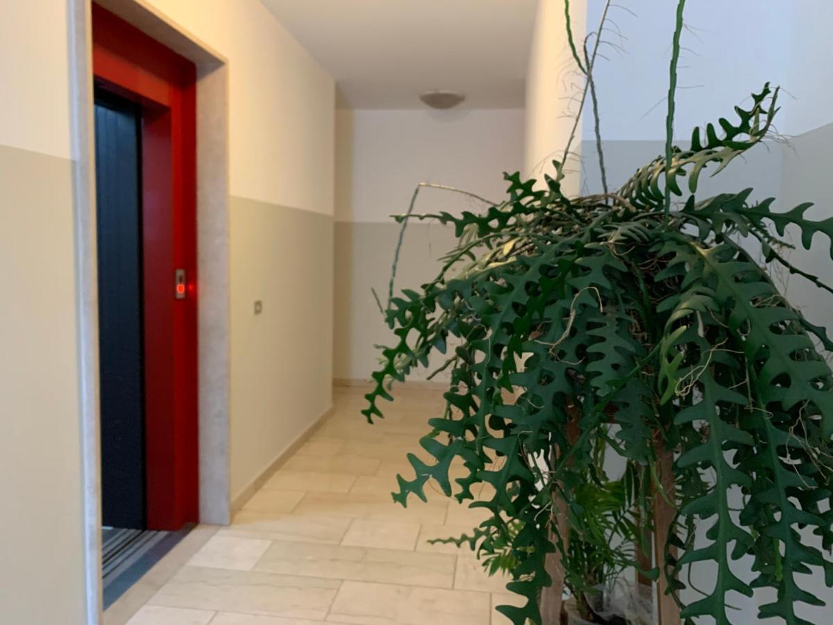 B&B Verona Business And Fun G B Rossi Friendly 외부 사진